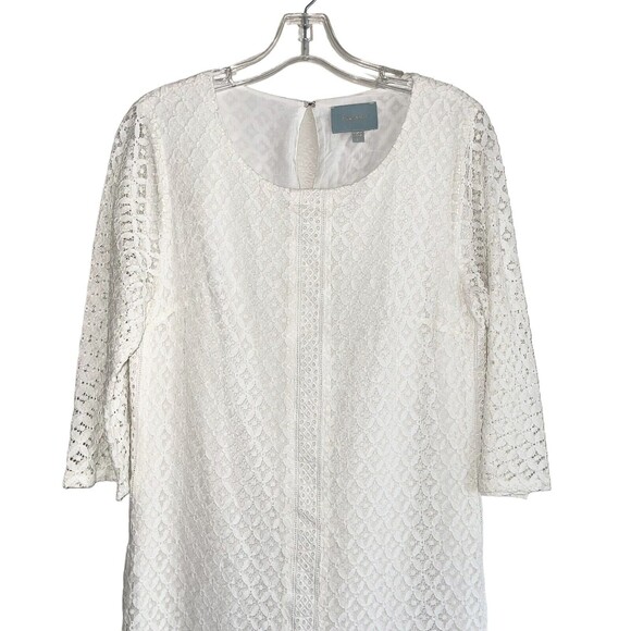 Skies Are Blue Ivory Laced Dress M Embroidered Sheer Sleeves Womens - Picture 3 of 13